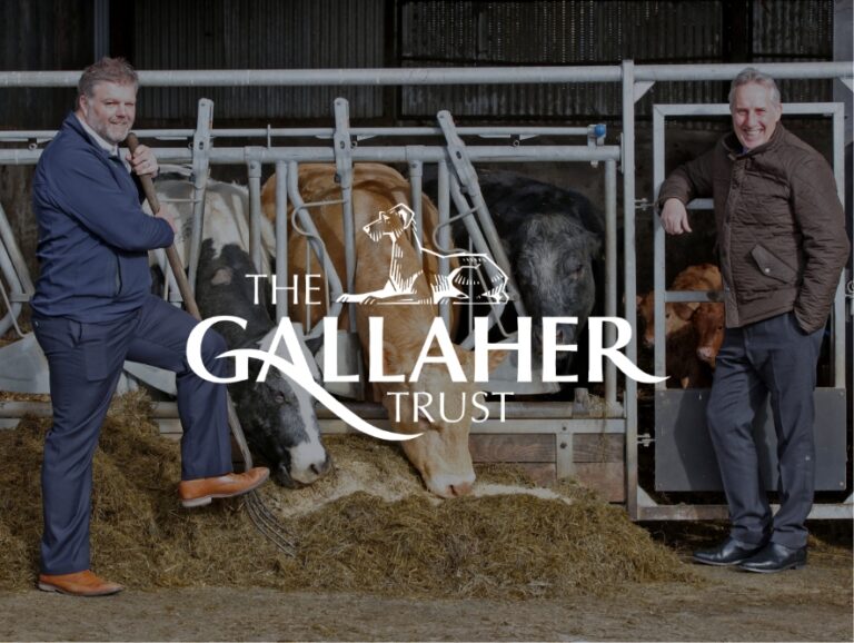 NAKEDPR Case Study for client, The Gallaher Trust